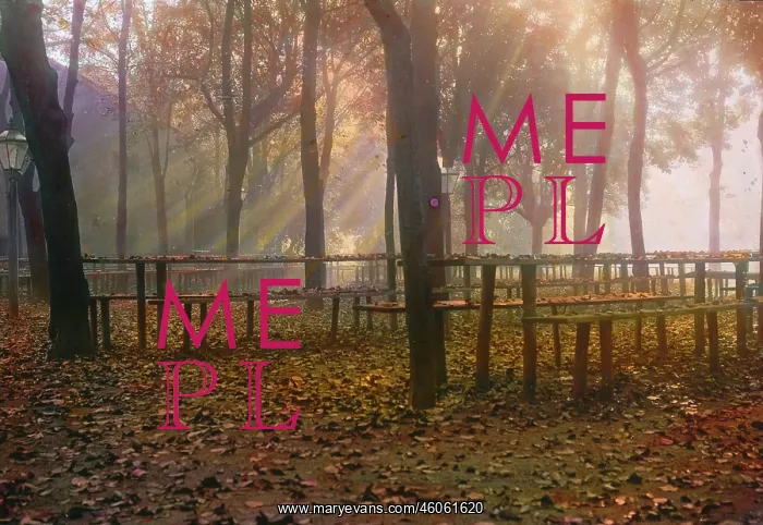 : Autumn morning in the Vienna Woods : Autumn morning in the Vienna Woods
