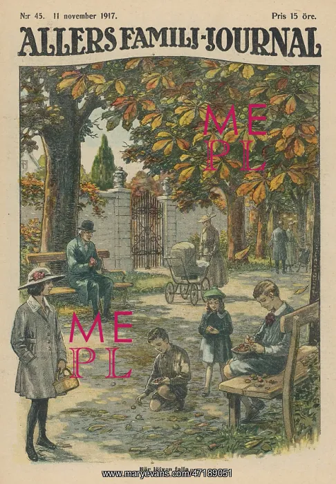 : AUTUMN SCENE : AUTUMN SCENE