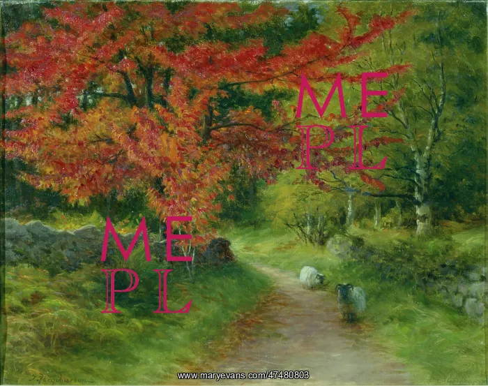 : Autumn Scene ' with two sheep on a lane : Autumn Scene ' with two sheep on a lane