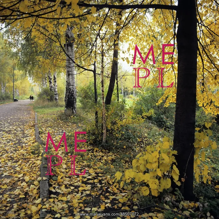 : Autumn scenes, 1981 : Autumn scenes, 1981