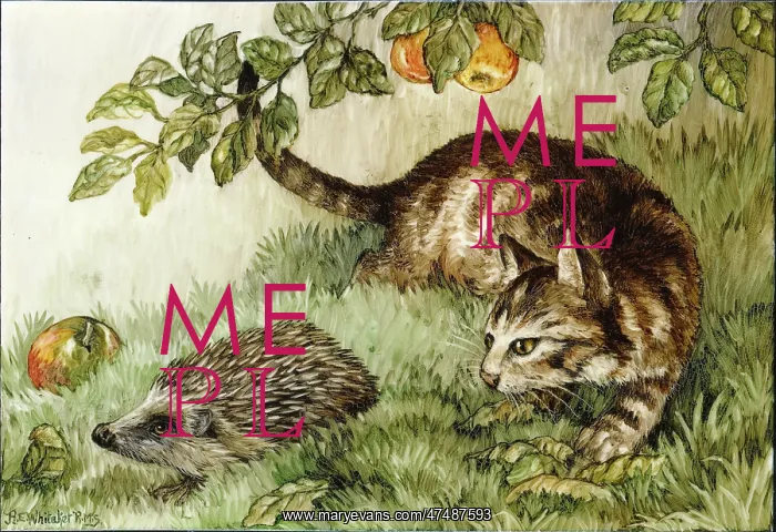 : Autumn: Tabby cat and hedgehog : Autumn: Tabby cat and hedgehog