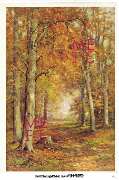  : Autumn Woodland
