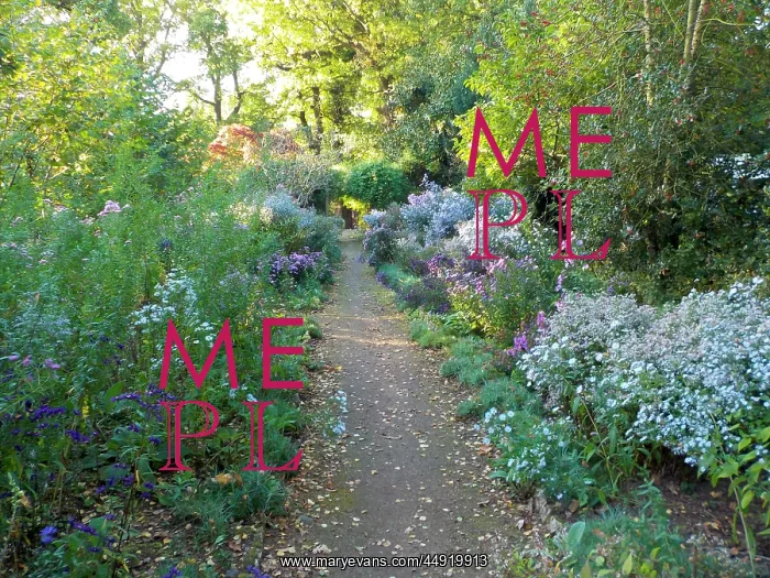 : Autumnal Borders at Munstead Wood : Autumnal Borders at Munstead Wood