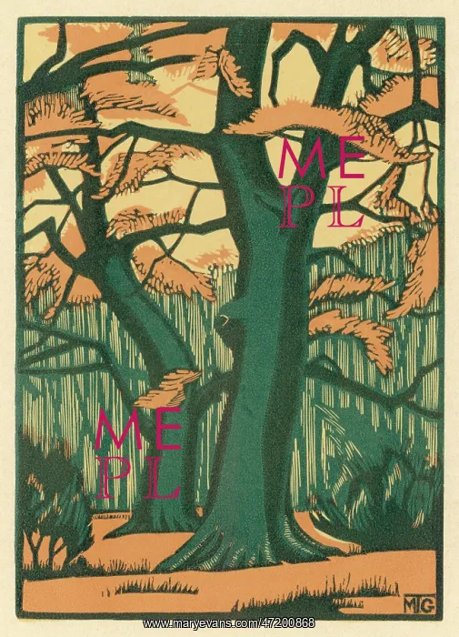  : Autumnal Trees