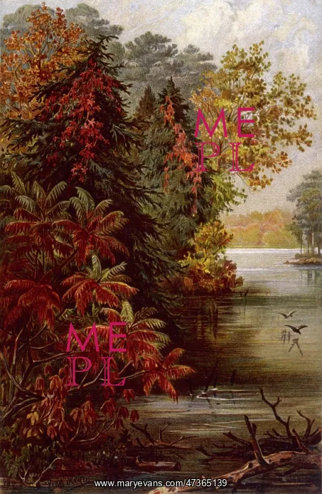 : AUTUMNAL TREES BY ERIE : AUTUMNAL TREES BY ERIE