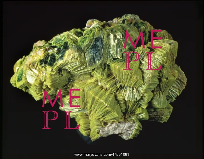  : Autunite comprises of (hydrated calcium uranyl phosphate)