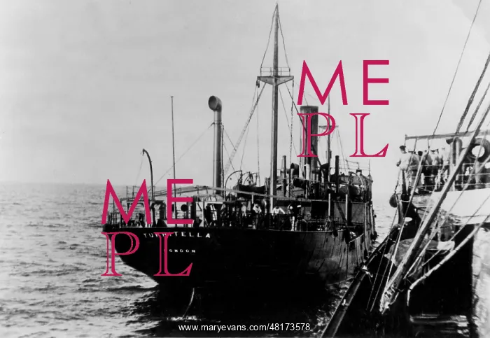 : Auxiliary cruiser Wolf captures a steamer, 1917 : Auxiliary cruiser Wolf captures a steamer, 1917