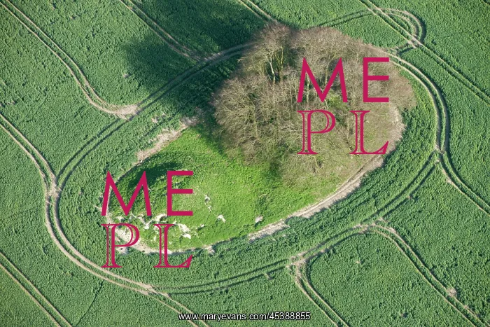  : Avebury Down, Wiltshire