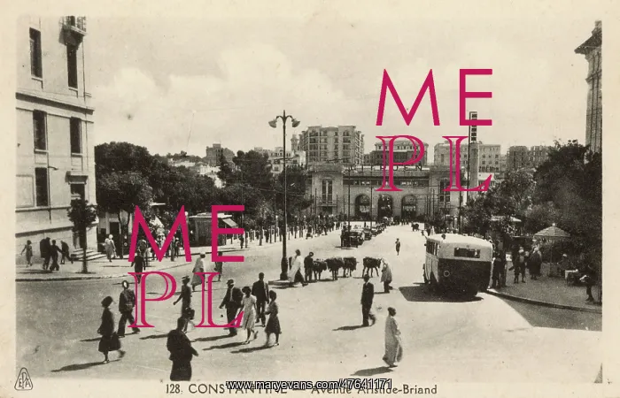 : Avenue Aristide-Briand, Constantine, Algeria : Avenue Aristide-Briand, Constantine, Algeria
