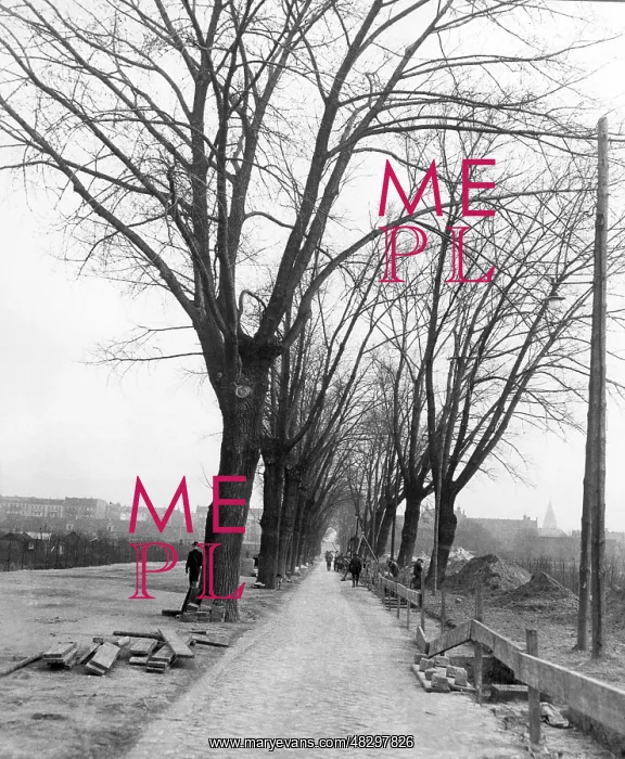 : Avenue in Berlin-Tempelhof, 1929 : Avenue in Berlin-Tempelhof, 1929