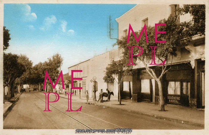 : Avenue d'Alger, Zeralda, Algiers, Algeria : Avenue d'Alger, Zeralda, Algiers, Algeria