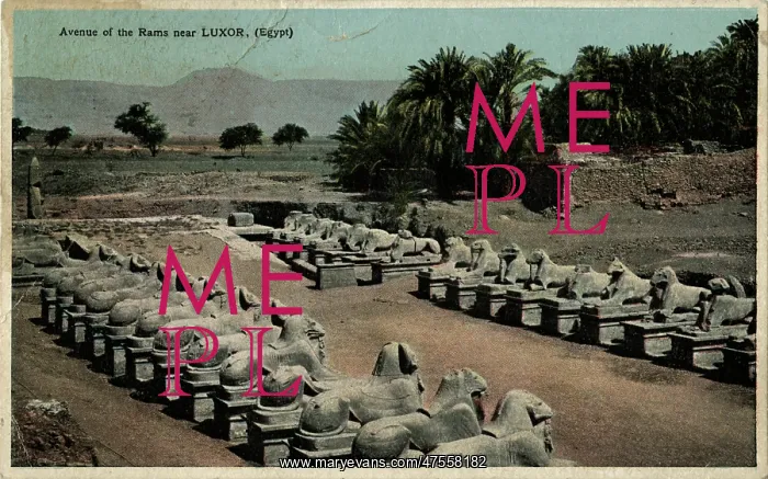 : Avenue of ram-headed sphinxes, Temple of Amun, Egypt : Avenue of ram-headed sphinxes, Temple of Amun, Egypt