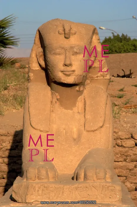 : Avenue of the sphinx. Luxor : Avenue of the sphinx. Luxor