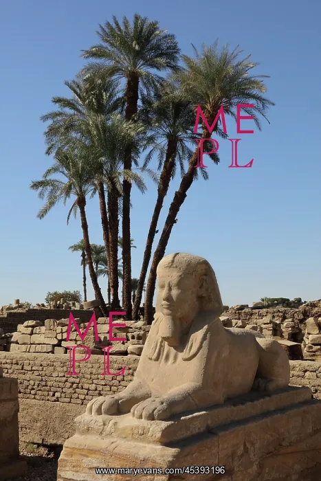 : Avenue of the Sphinxes, Luxor Temple, Luxor, Egypt : Avenue of the Sphinxes, Luxor Temple, Luxor, Egypt