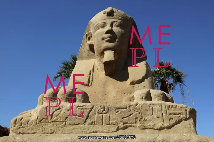 : Avenue of the Sphinxes, Luxor Temple, Luxor, Egypt : Avenue of the Sphinxes, Luxor Temple, Luxor, Egypt