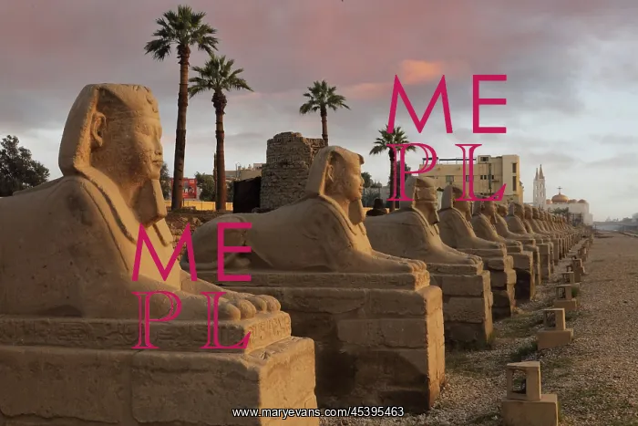 : Avenue of the Sphinxes, Luxor Temple, Luxor, Egypt : Avenue of the Sphinxes, Luxor Temple, Luxor, Egypt