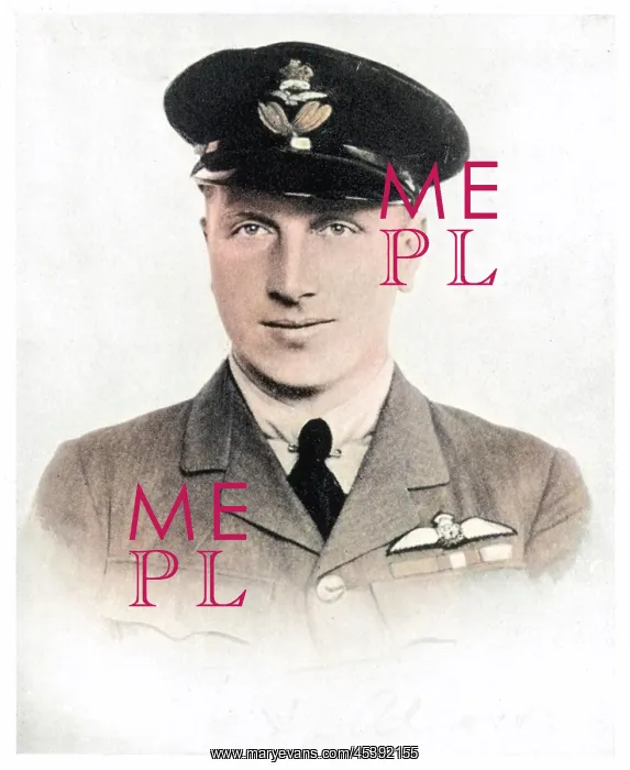 : Aviator John Alcock 1919 : Aviator John Alcock 1919