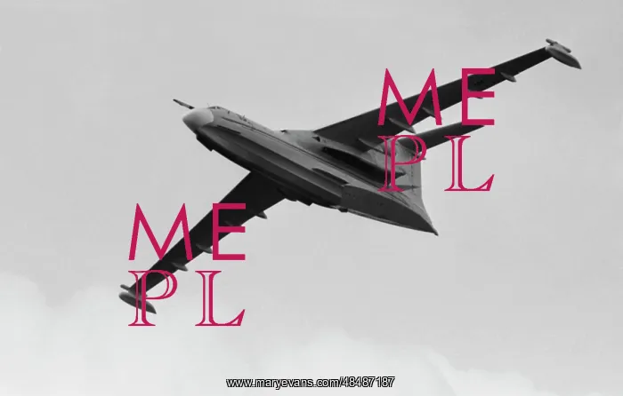 : Aviator training : Aviator training