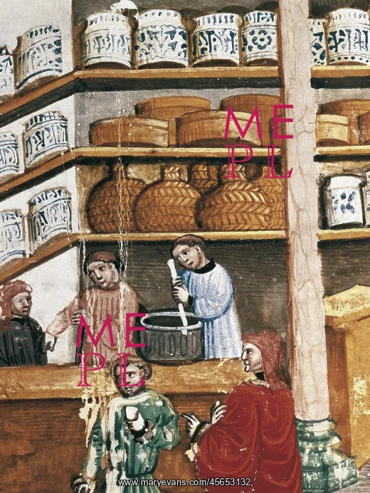 : AVICENNA (980-1037). Arab physician and philosopher : AVICENNA (980-1037). Arab physician and philosopher