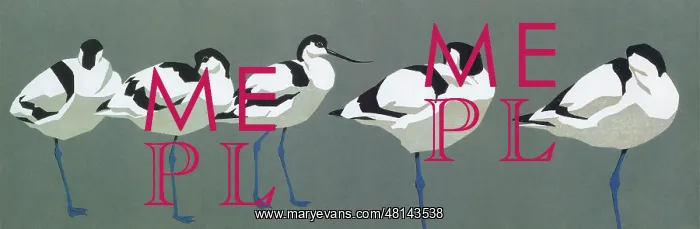 : Avocets. Five Avocets - linocut print by Robert Gillmor (1936-2022) : Avocets. Five Avocets - linocut print by Robert Gillmor (1936-2022)