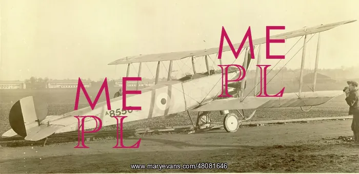 : Avro 504A A8556 : Avro 504A A8556