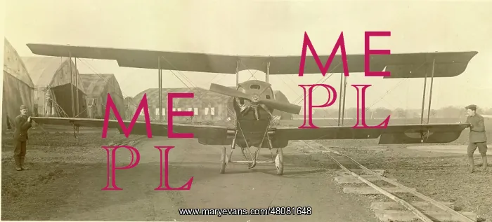 : Avro 504A A8556 : Avro 504A A8556