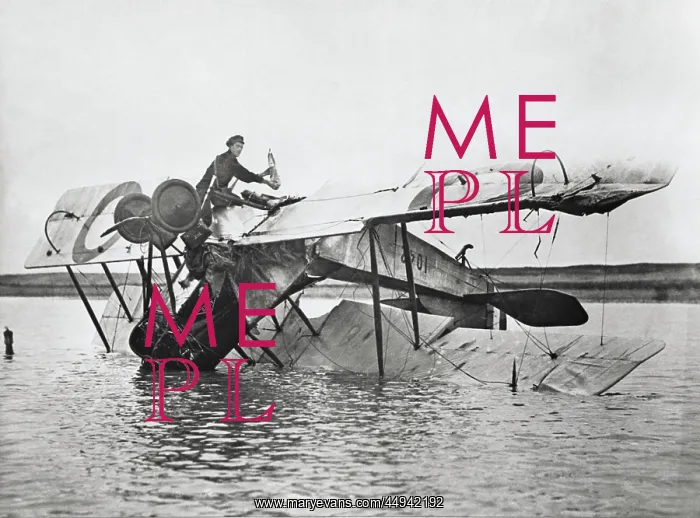 : Avro 504B. Crashed Royal Flying Corp Avro 504B Upide-Down in Water with : Avro 504B. Crashed Royal Flying Corp Avro 504B Upide-Down in Water with