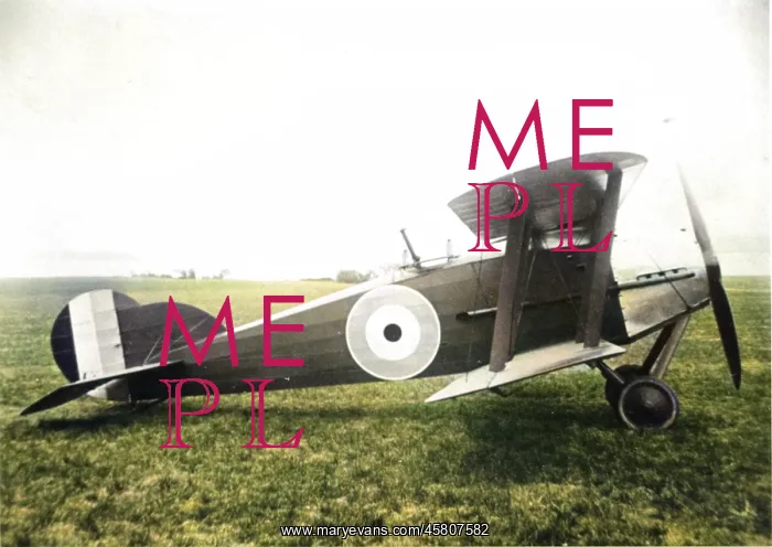  : Avro 530, (side view, on the ground)