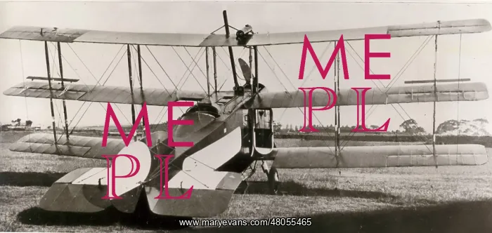 : Avro Triplane G-AUCR : Avro Triplane G-AUCR
