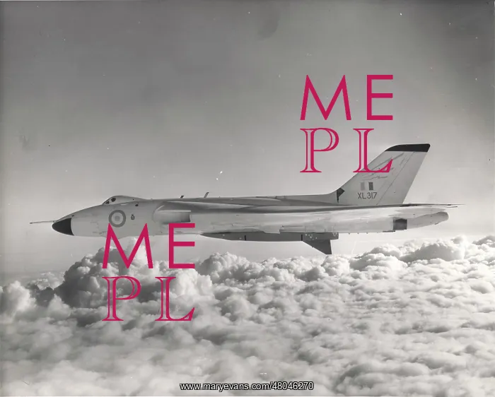 : Avro Vulcan B2 XL317 : Avro Vulcan B2 XL317