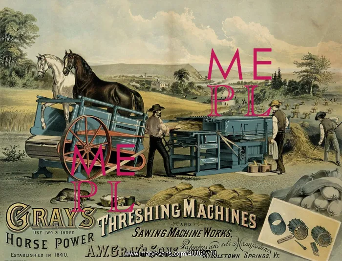 : A.W. Gray's Sons, sshowing a group of farmers : A.W. Gray's Sons, sshowing a group of farmers