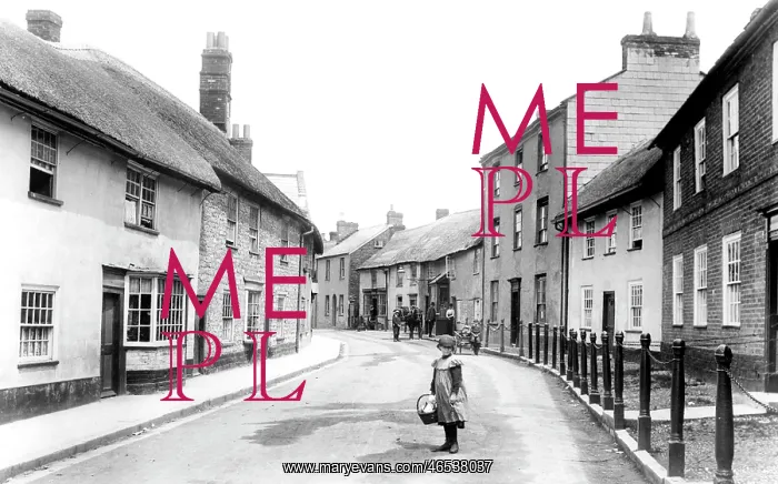  : Axminster, South Street 1902
