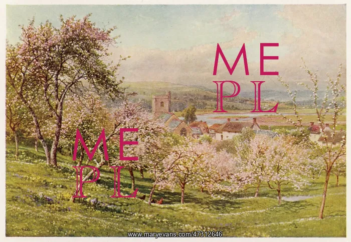 : AXMOUTH / DEVON / 1909