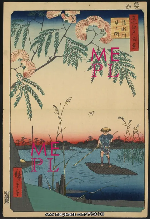 : Ayase river and Kanegafuchi : Ayase river and Kanegafuchi
