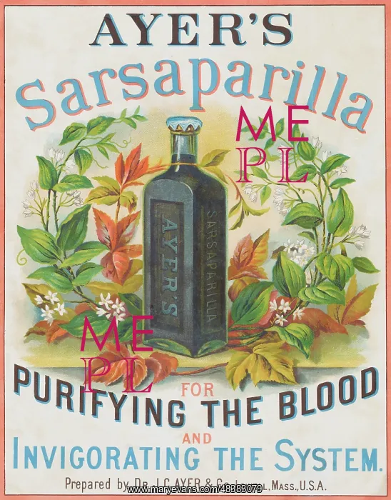 : Ayer's Sarsaparilla : Ayer's Sarsaparilla