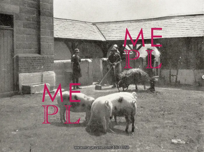 : Aylesbury Borstal Inmates - Farm Work : Aylesbury Borstal Inmates - Farm Work