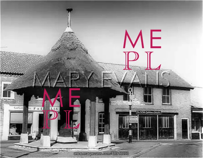 : AYLSHAM THATCHED PUMP : AYLSHAM THATCHED PUMP