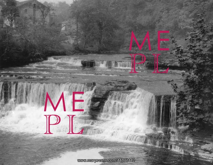 : AYSGARTH FALLS : AYSGARTH FALLS