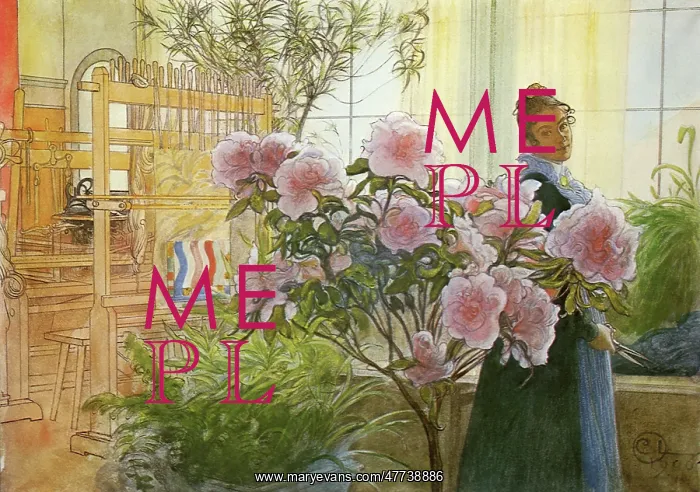  : Azalea