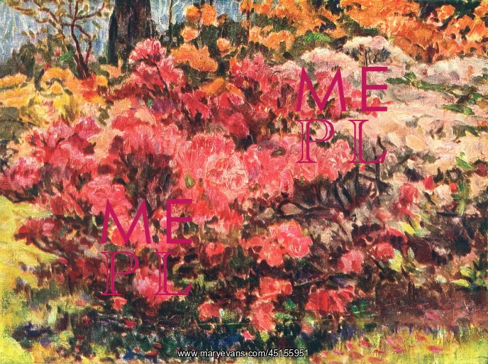 : The Azaleas : The Azaleas