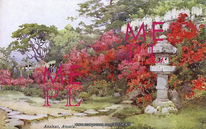 : Azaleas, Awata, Japan : Azaleas, Awata, Japan