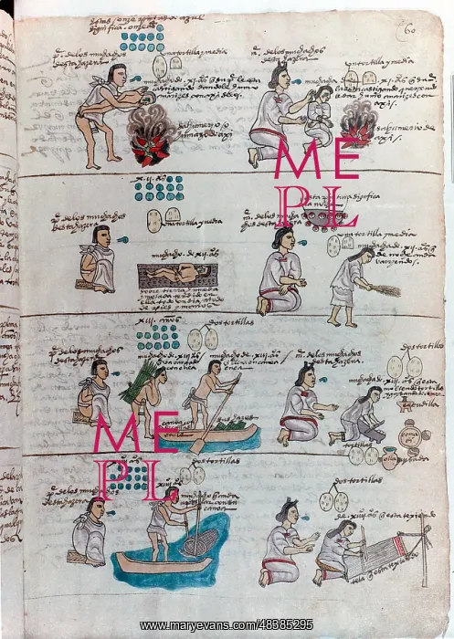 : Aztec education of boys (left): boy punished by : Aztec education of boys (left): boy punished by