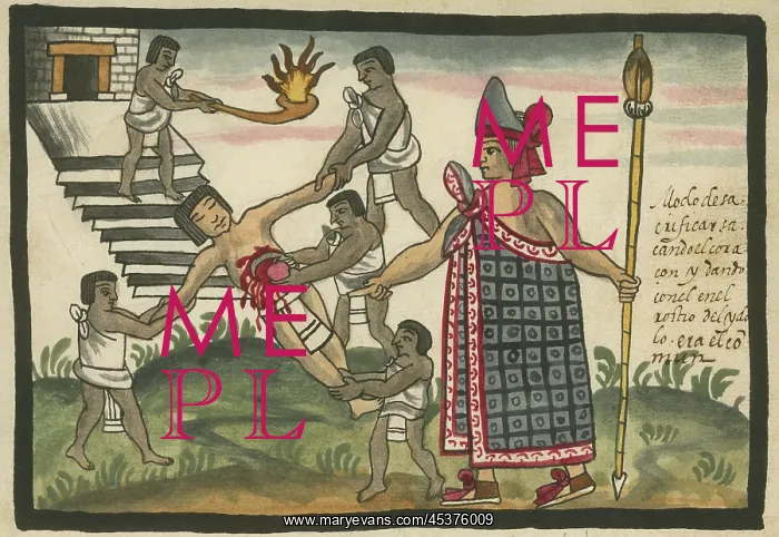 : Aztec human sacrifice, in which a beating : Aztec human sacrifice, in which a beating