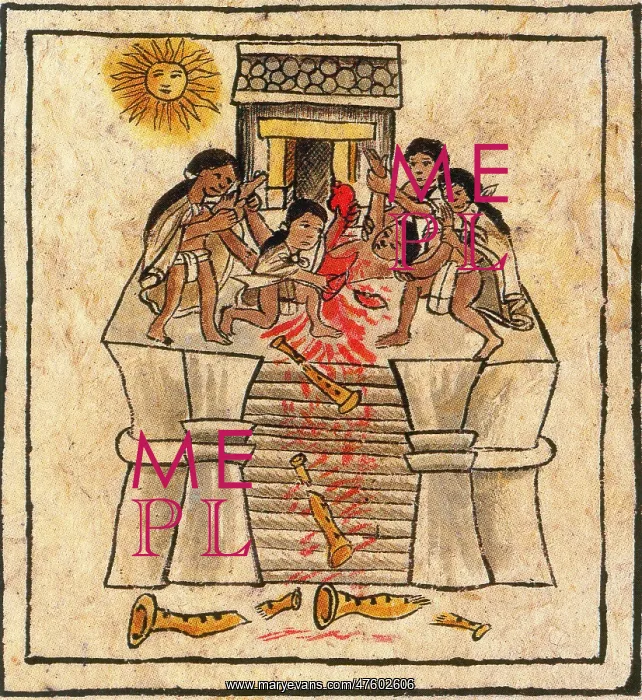: Aztec Human Sacrifice, Codex Florentine, 16th Century : Aztec Human Sacrifice, Codex Florentine, 16th Century