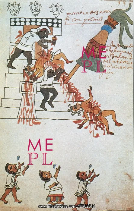 : Aztec Human Sacrifice, Codex Tudela, 16th Century : Aztec Human Sacrifice, Codex Tudela, 16th Century