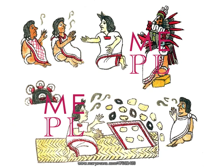 : Aztec Medicine, Codex Magliabechiano, 16th Century : Aztec Medicine, Codex Magliabechiano, 16th Century