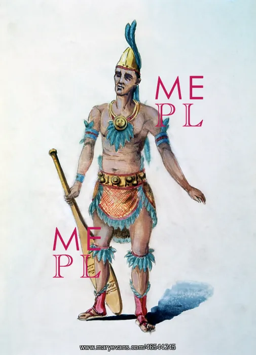 : Aztec Rower : Aztec Rower