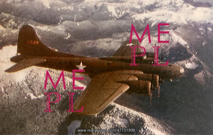 : B-17 Flying Fortress : B-17 Flying Fortress