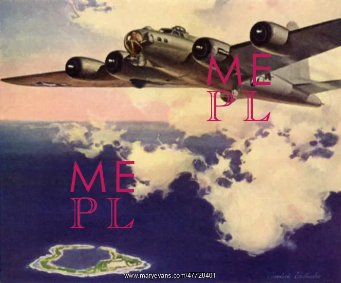 : B-17 Flying Fortress : B-17 Flying Fortress
