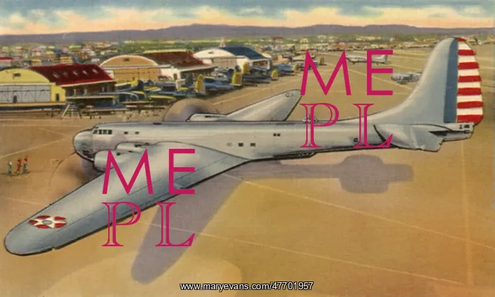 : B-19, The Eagle of Two Continents : B-19, The Eagle of Two Continents